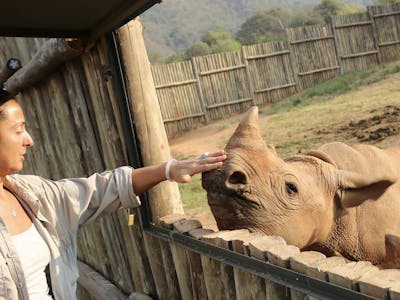 Martin and Julie While: Julie touching a rhino at Care for Wild