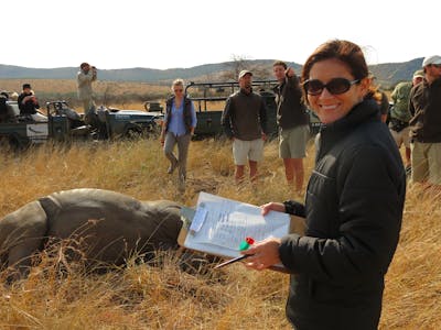 A research group surrounding a sedated rhino in the African bush - A young lady smiles at the camera whilst holding a clipboard and sample pots
