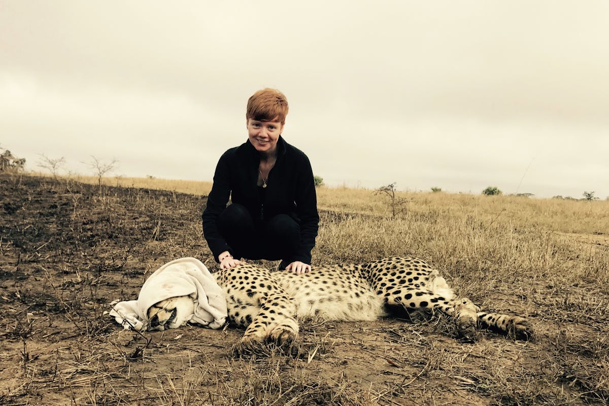 Jessica Gunn with a sedated leopard