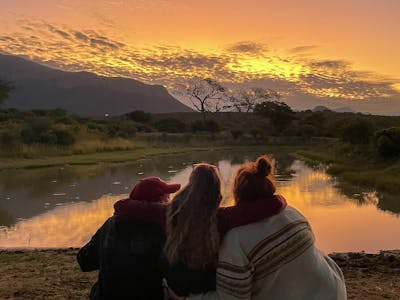 A group of friends look out at a sunset at Moholoholo