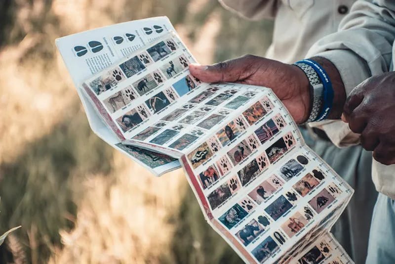 For quick identification of animal tracks, a spoor chart is used