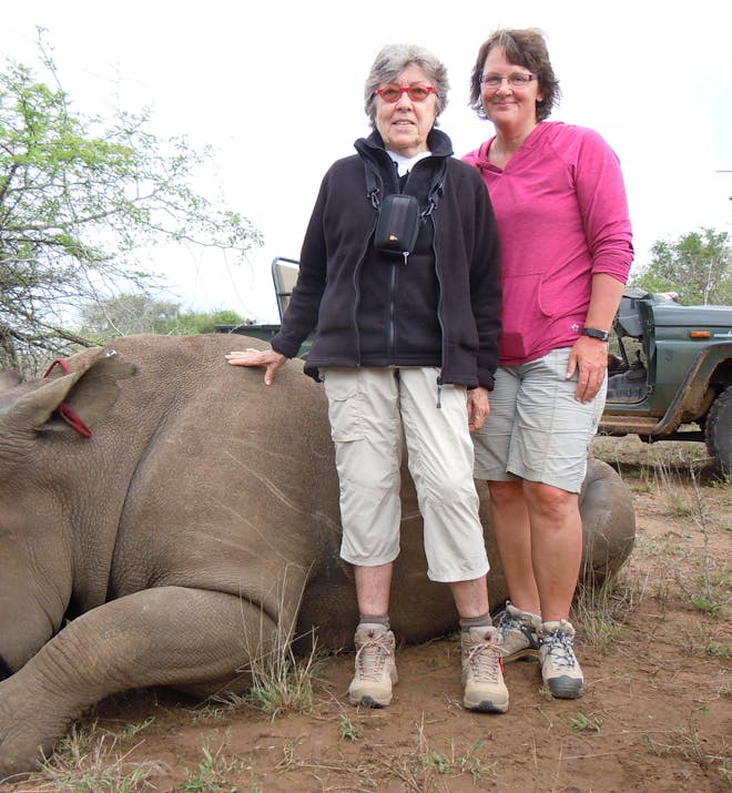 Myriam Istace: posing with a sedated rhino