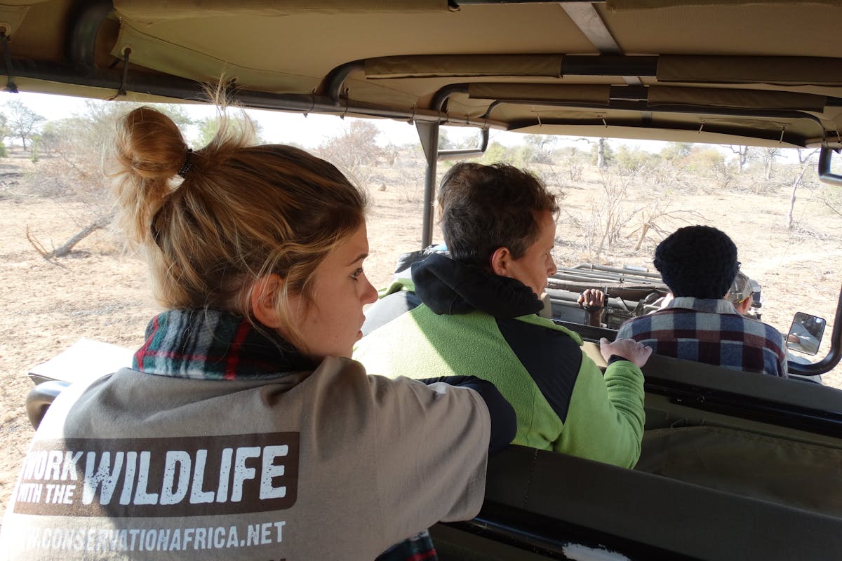 ACE mature volunteer viewing wildlife from a vehicle