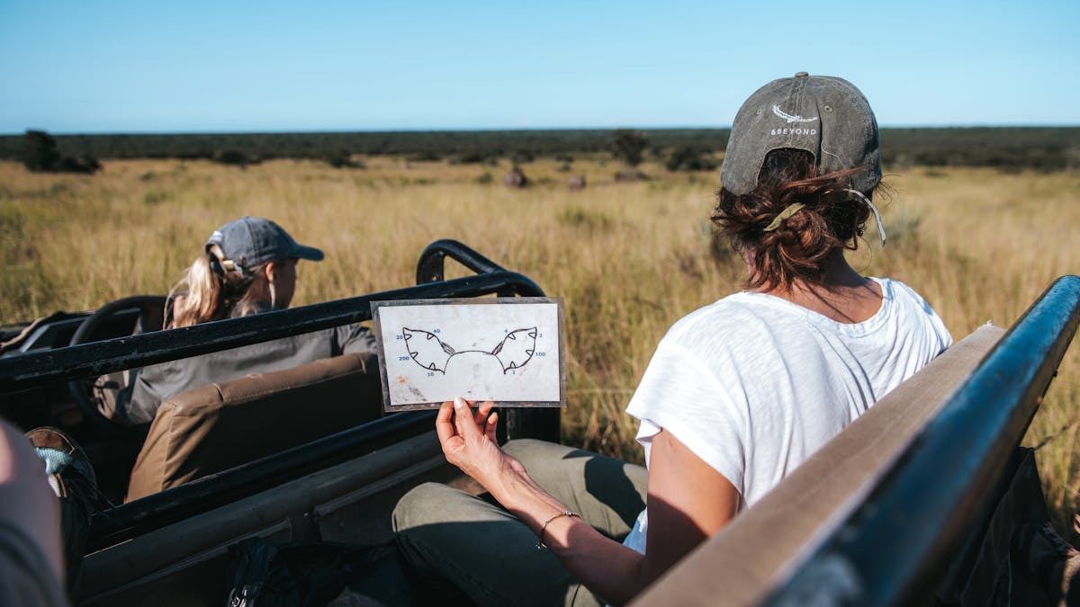 ACE volunteer tracking and monitoring rhinos from a vehicle