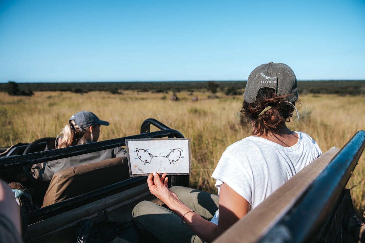 ACE volunteer tracking and monitoring rhinos from a vehicle