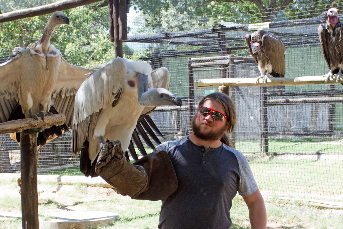 Student holding bird in enclosure