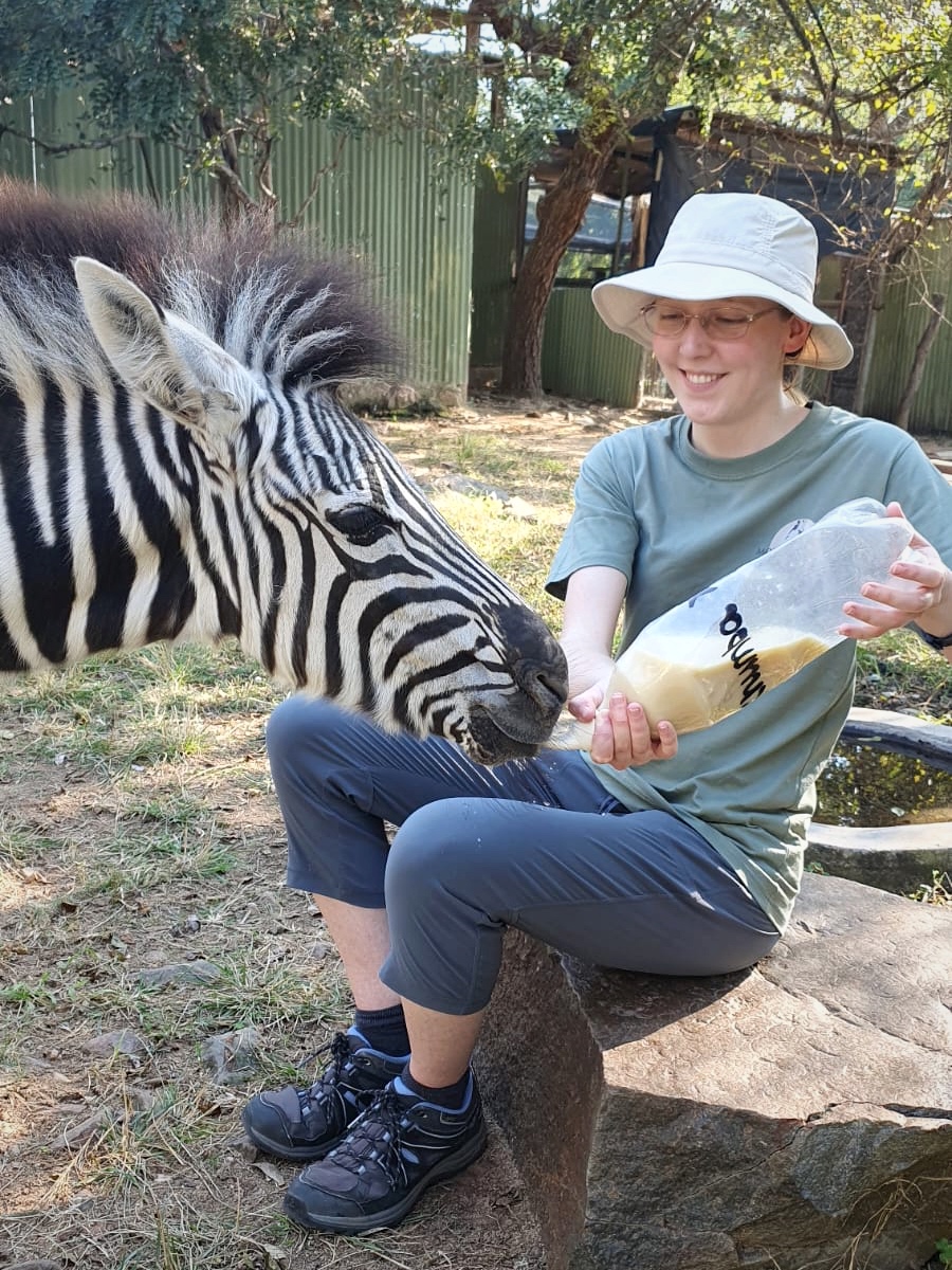 Cassidy McKinlay: Bottle Feeding Zebra at Moholoholo