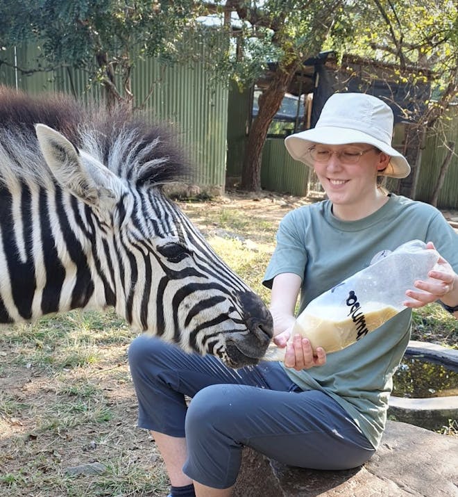 Cassidy McKinlay: Bottle Feeding Zebra at Moholoholo