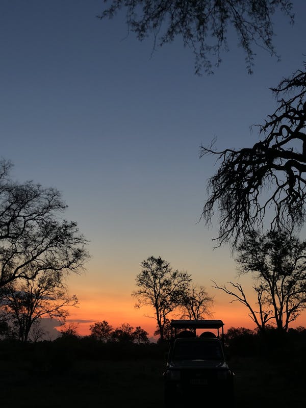 Katherine Prindle: sunset in the Okavango