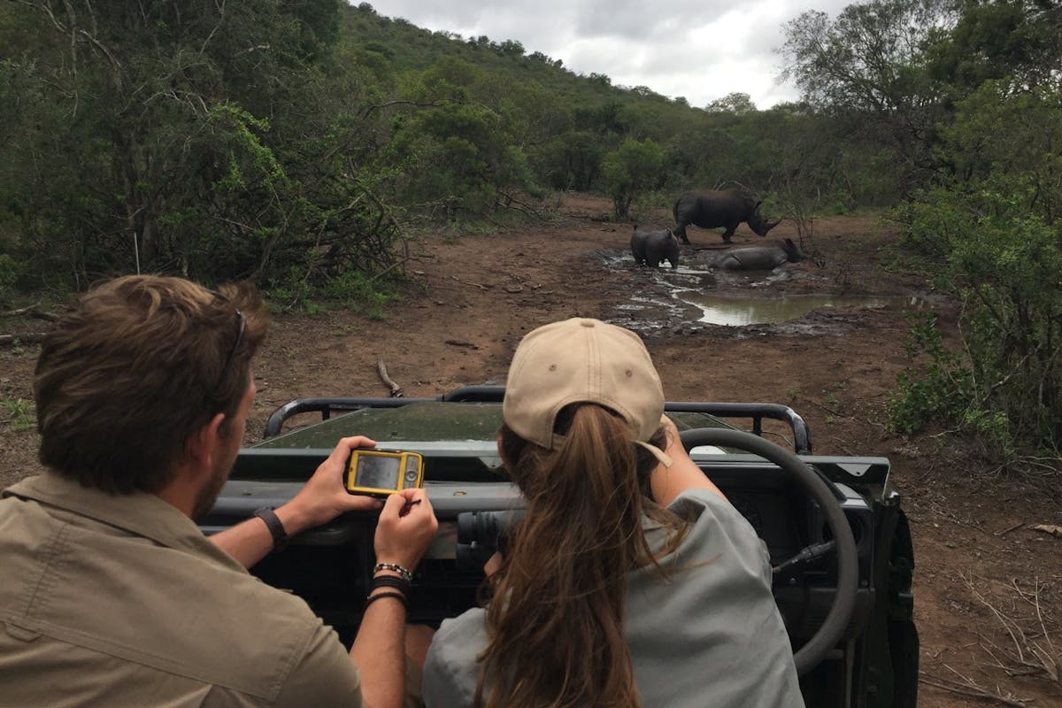 ACE volunteers monitoring rhinos from their vehicle at a safe distance, using equipment