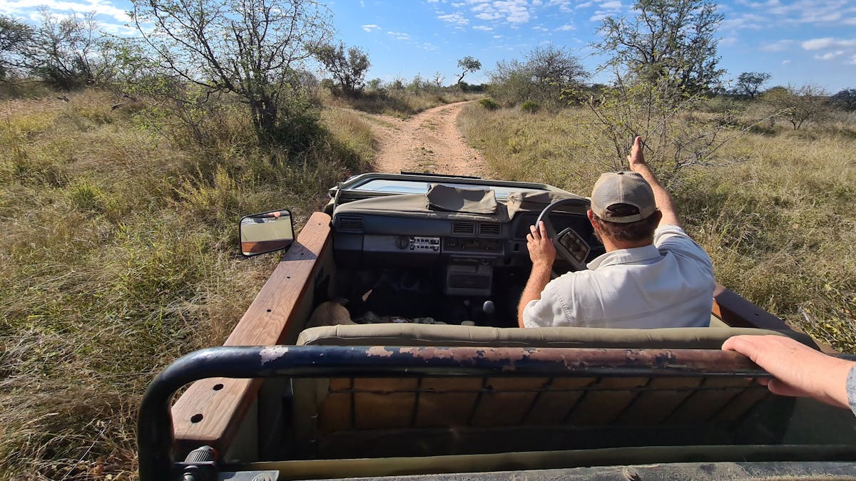A guide driving in the Kruger national park