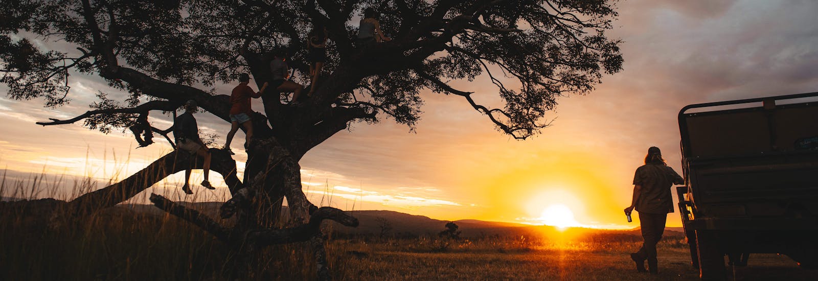 Group of ACE students relaxing beside a tree in the sunset