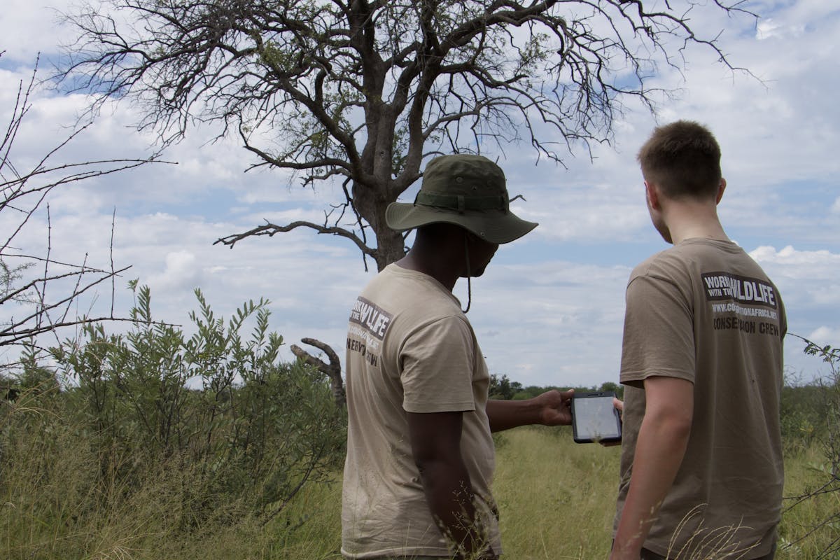 Two males looking at a tablet in the bush