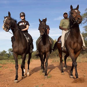 Hanchi horseback conservation