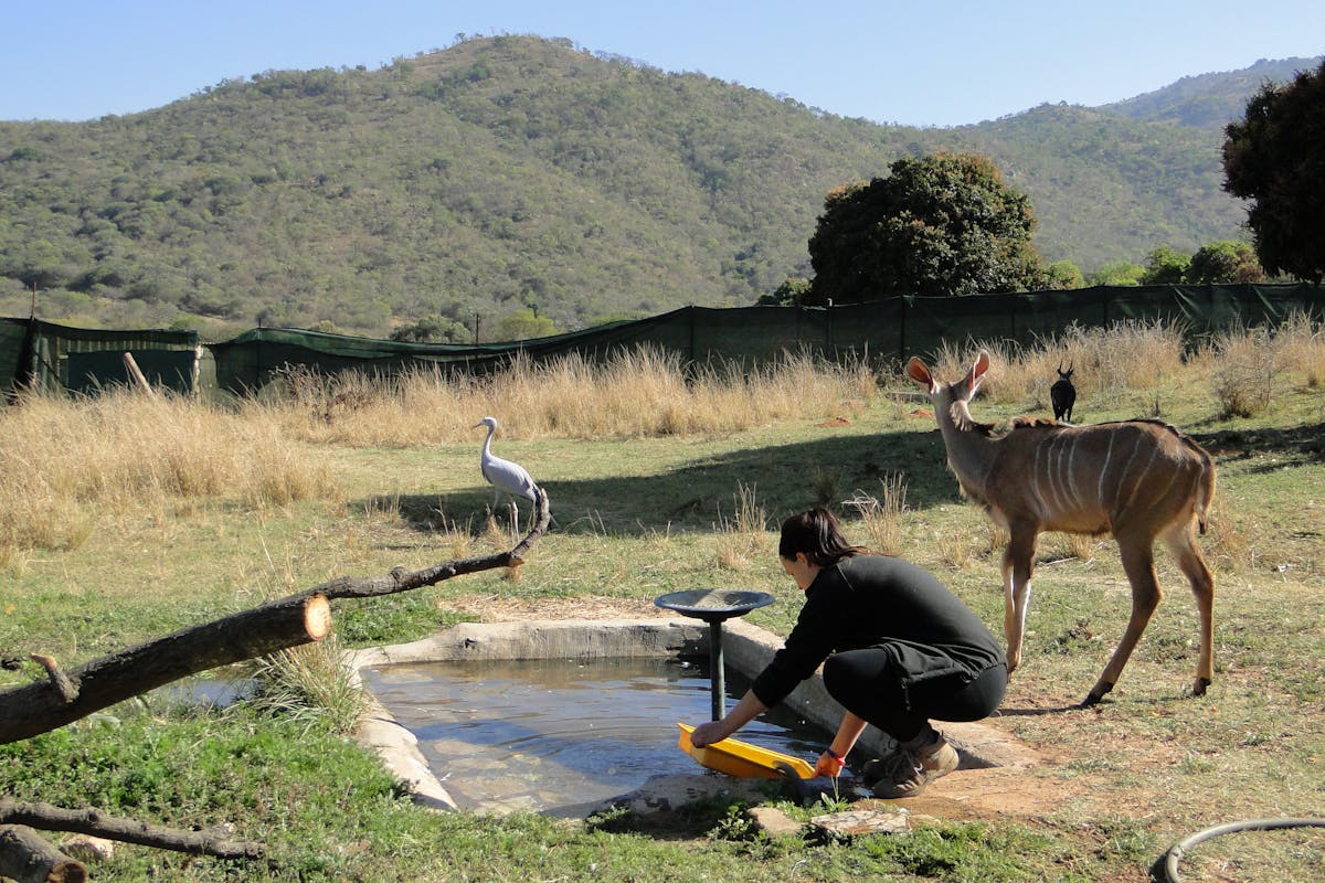 Student cleaning the antelope's waterhole