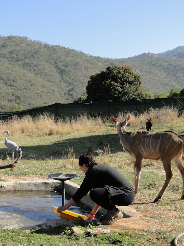 Student cleaning the antelope's waterhole
