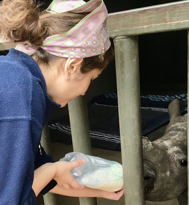 Rachele Stoppoloni: bottle feeding a baby rhino
