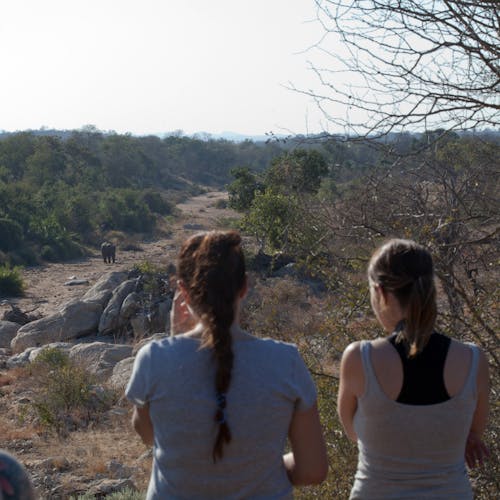 ACE group viewing an elephant from afar