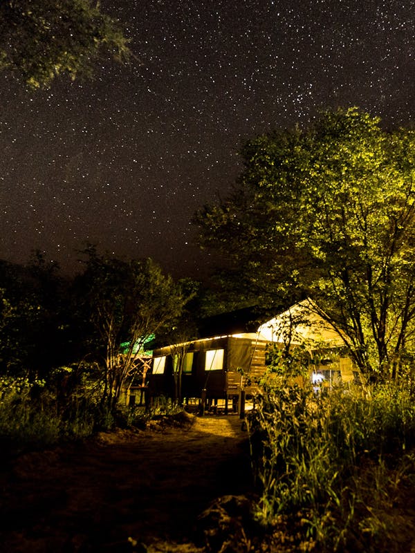Base Camp in the Okavango at night, with stars shining overhead