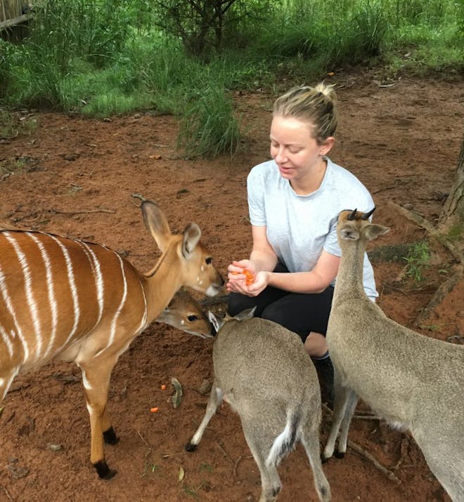 Jodie Bickhoff: feeding baby antelopes