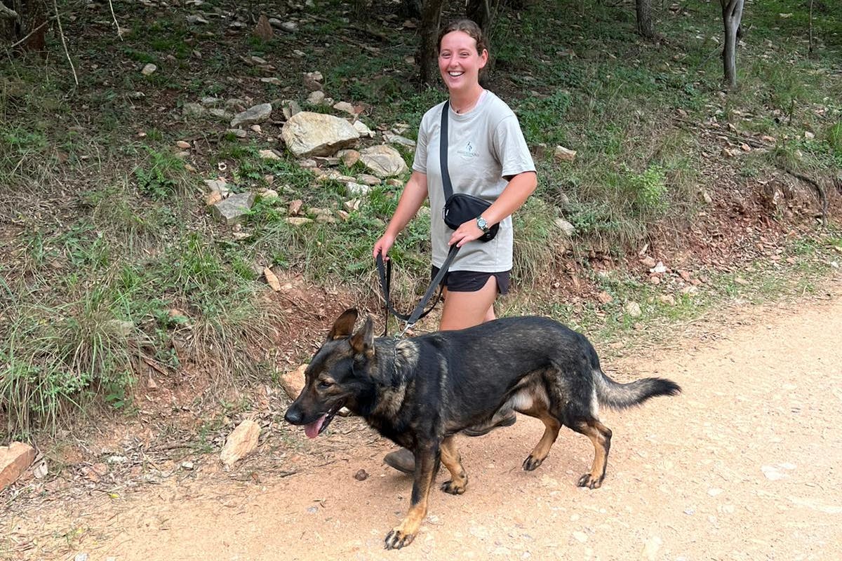 Katherine Prindle: walking with an anti-poaching dog