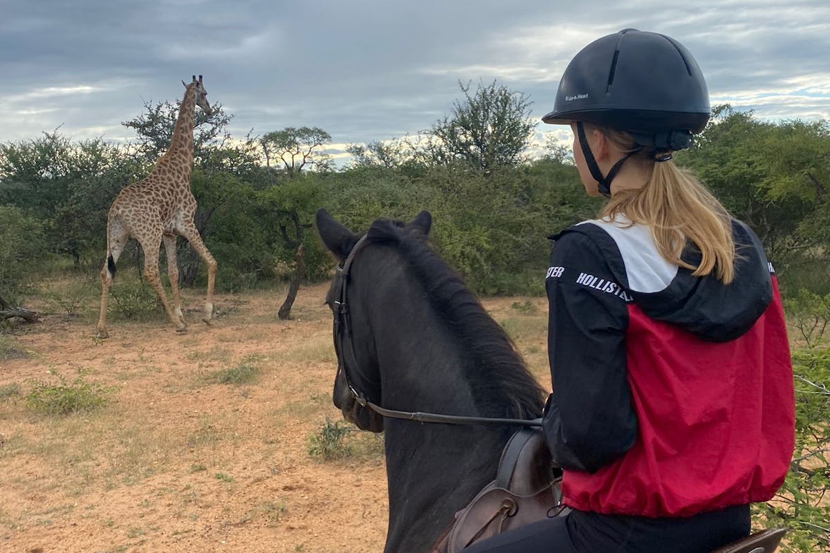 Mira van Duin: horseback viewing giraffe