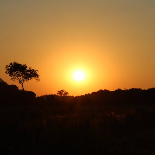 Emma Onyejekwe: sunset photo