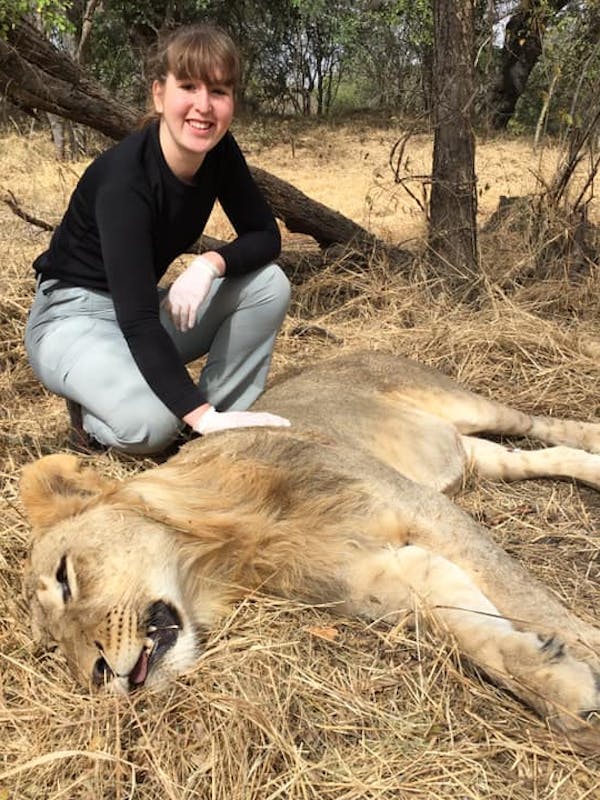 Keavy Garland: posing with a sedated lion