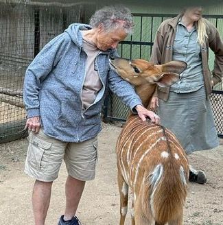 Jeanne Gray: Female ACE volunteer looking down at nyala