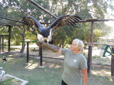 Karen Mounch with vulture