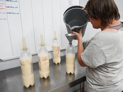 making bottles of milk