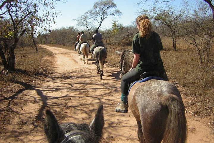 ACE volunteers riding on the Hanchi Conservation Experience