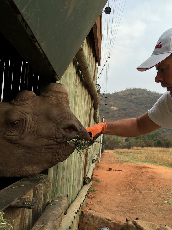 Louis J Grittani feeding a rhino