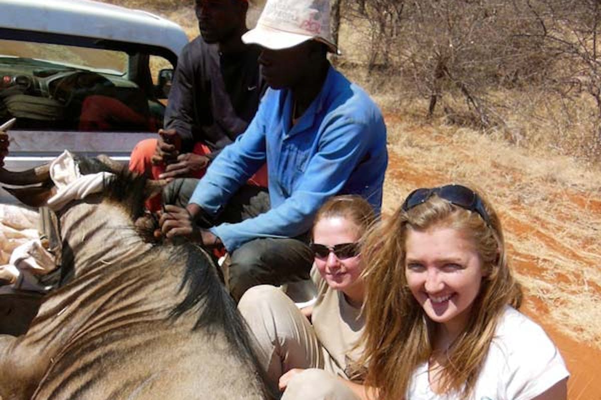 Rosie Bancroft: posing with wildebeest