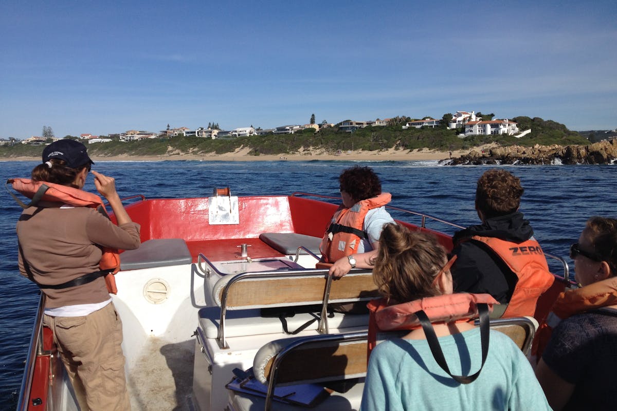 Group viewing the marine landscape from their boat