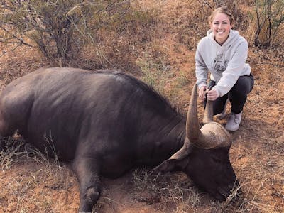 Nicolette Madonna: posing with sedated buffalo
