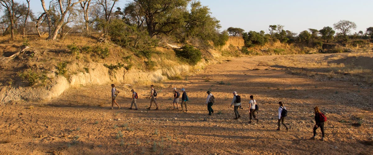 A university group hiking through the African bush on the Rhino Focus Course