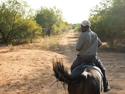 Male professional looking back to ACE volunteer atop his horse