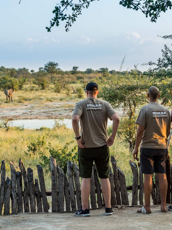 Group of ACE volunteers viewing elephants across the water from a safe distance