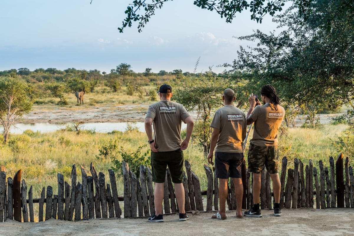 Group of ACE volunteers viewing elephants across the water from a safe distance