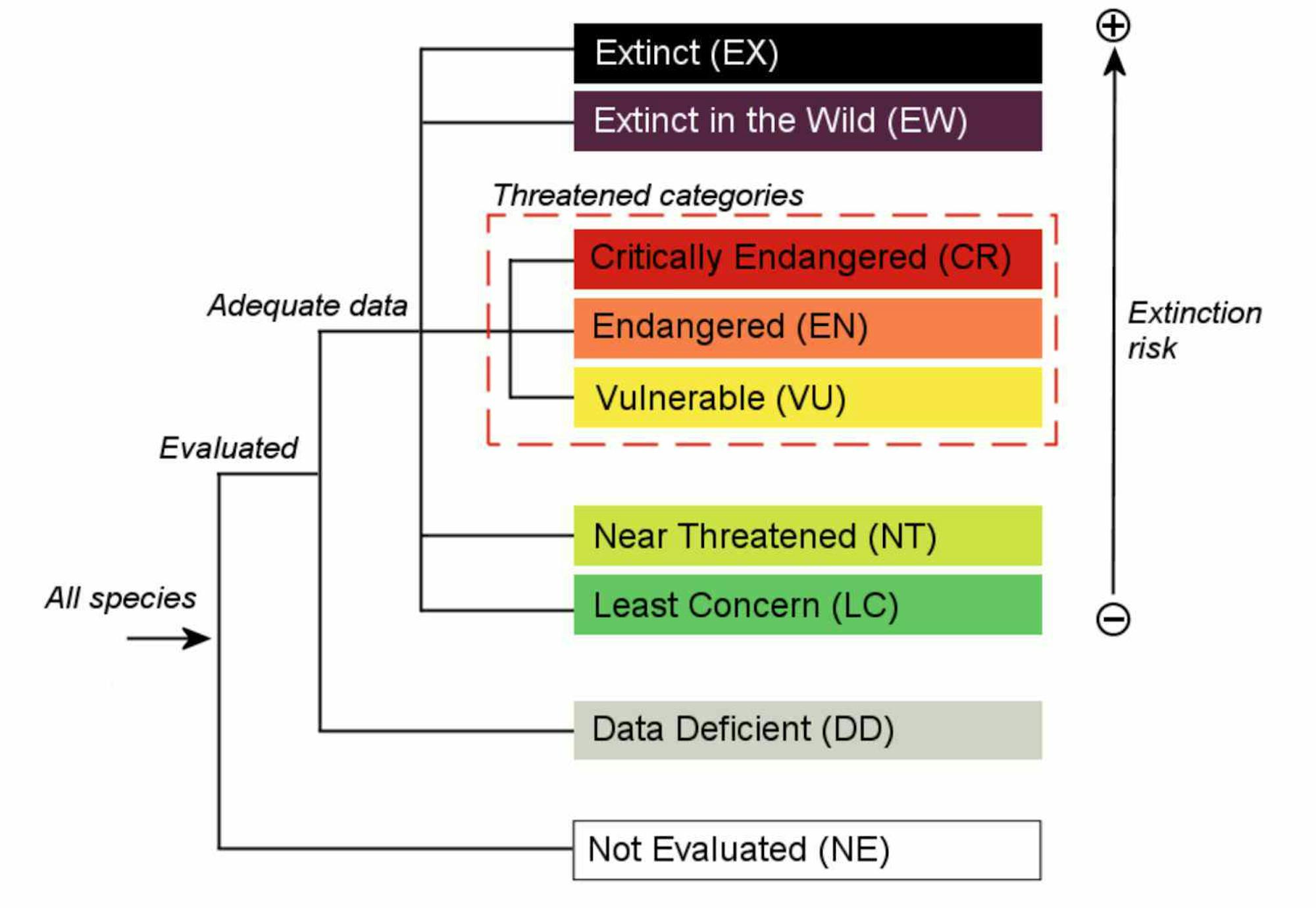 IUCN Screenshot of Red List Categories