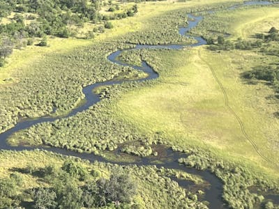 An aerial shot of the Okavango