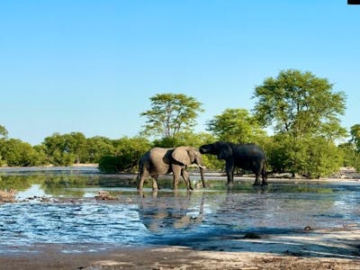 Okavango landscape shot