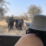 A female viewing elephants