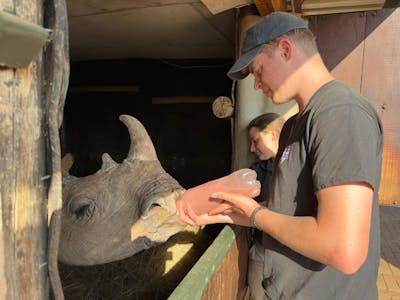 Matthew Gregory: volunteers bottle feeding rhinos