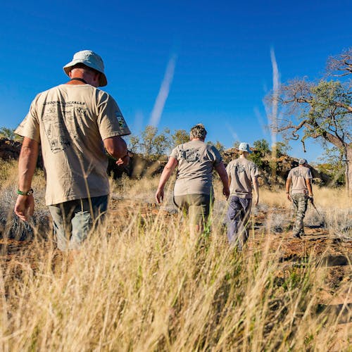 A group of ACE volunteers hiking through the bush past a Baobab tree