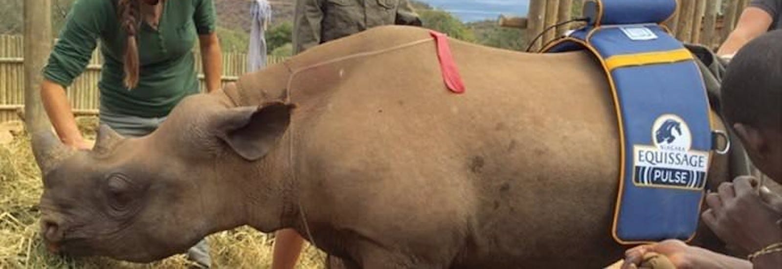 Thor the rhino orphan at Care for Wild