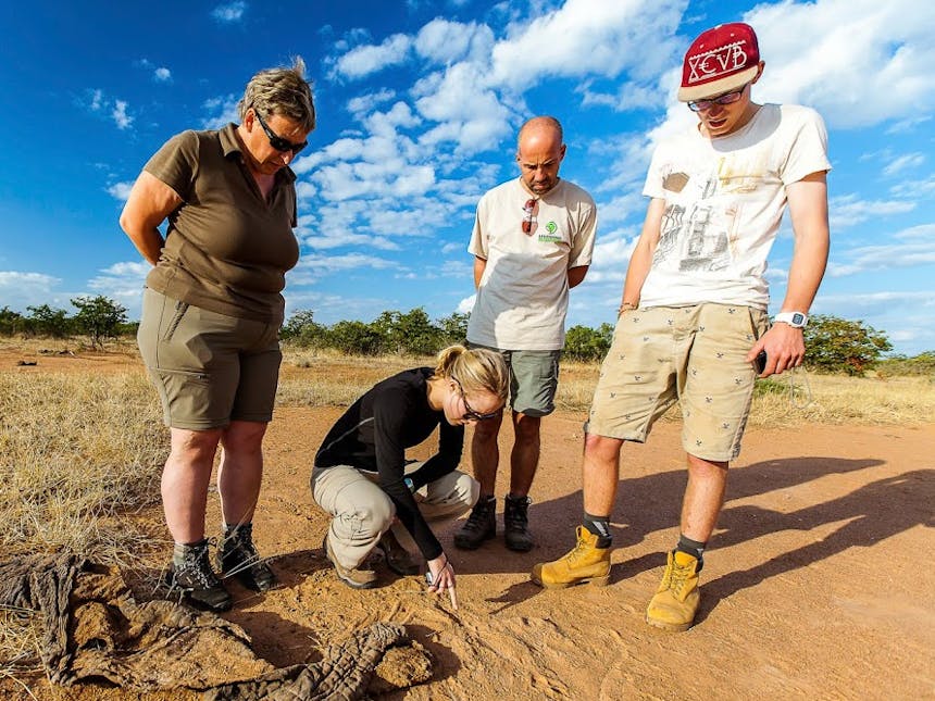 A group of ACE volunteers inspect tracks left by wildlife