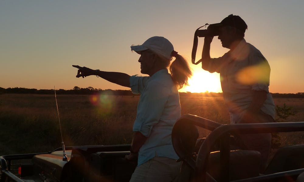 2 ACE volunteers observe wildlife from a jeep at sunset on the Phinda reserve