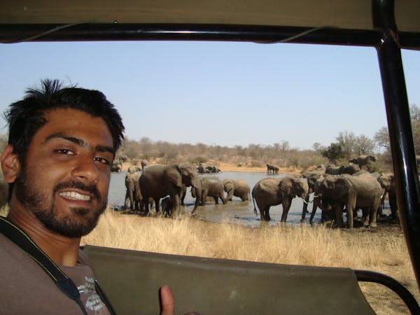 ACE volunteer viewing elephants from the vehicle